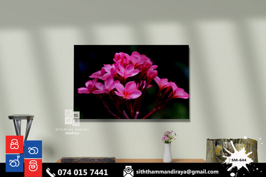 Design : SM - 644