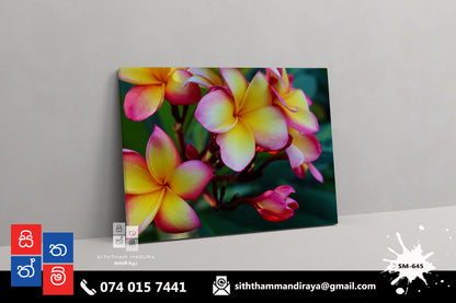 Design : SM - 645