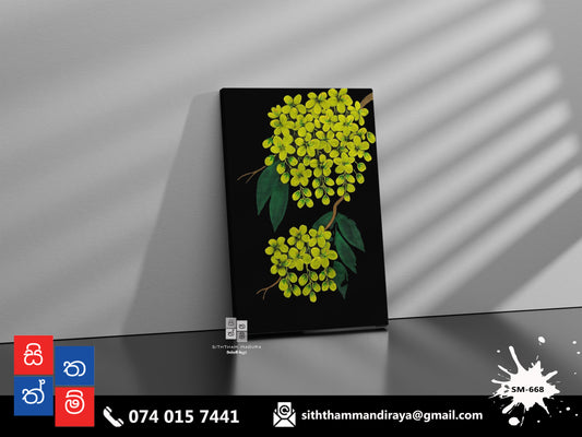 Design : SM - 668