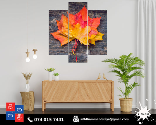 Design : SM - 736